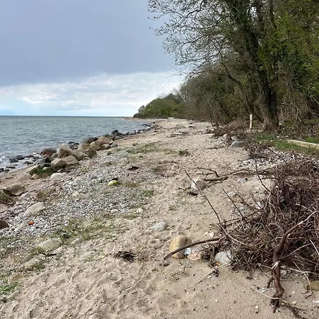 Rinkenaeshus A גראסטן